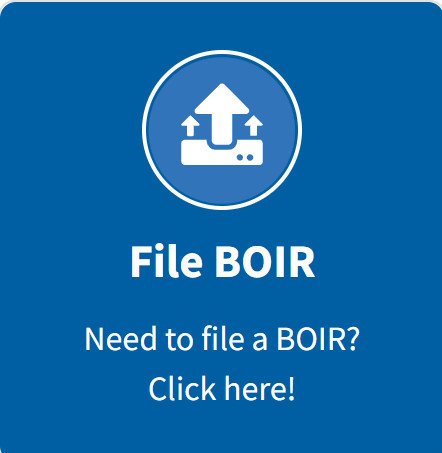 FinCEN BOIR E-File